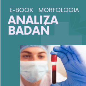 E-book Analiza morfologii
