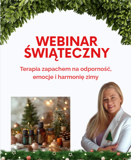 Zrzut ekranu 2025-11-28 112828