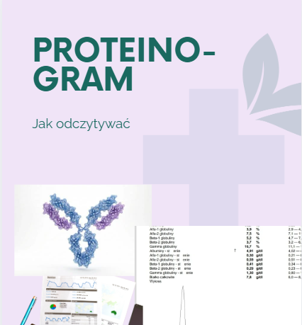 Zrzut ekranu 2026-01-29 174533