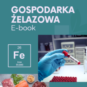 E-book Gospodarka żelazowa